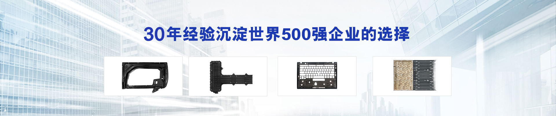 30年经验沉淀，世界500强企业的选择