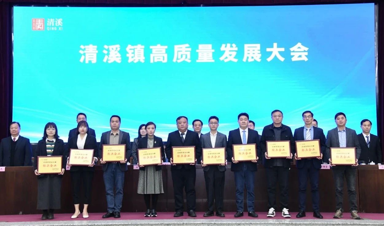 喜讯：4688美高梅登录中心科技荣获2024年度“清溪镇主营业务收入及效益贡献标兵企业”